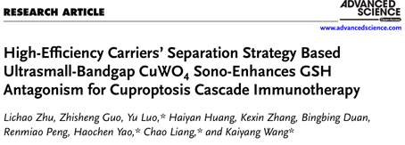 文本
AI 生成的内容可能不正确。