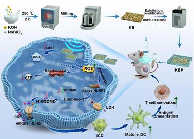 图示, 地图
AI 生成的内容可能不正确。